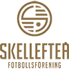 Skelleftea