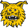 Ilves