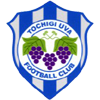Tochigi Uva FC